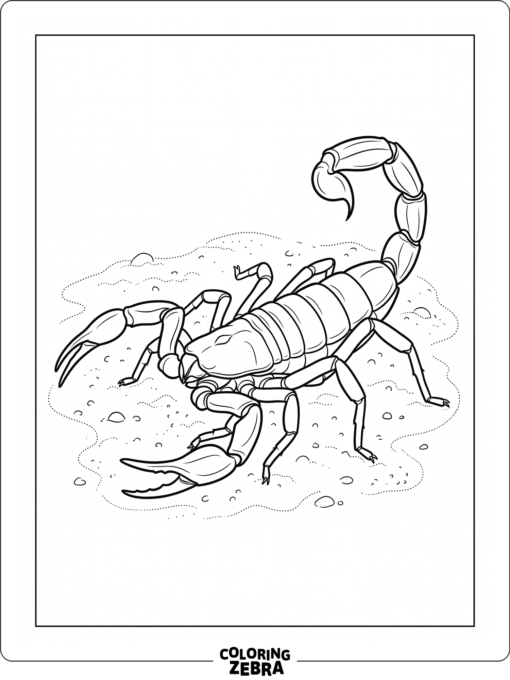 A detailed scorpion on sand