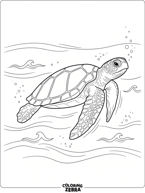 A realistic sea turtle swimming through calm water