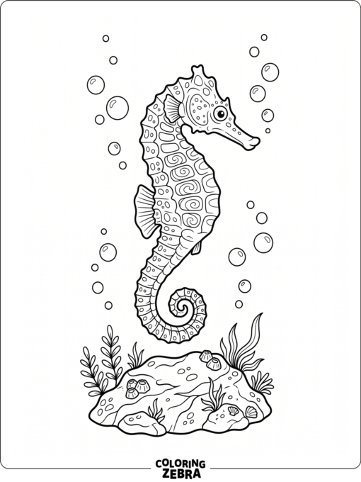 A seahorse swimming above a rock with bubbles