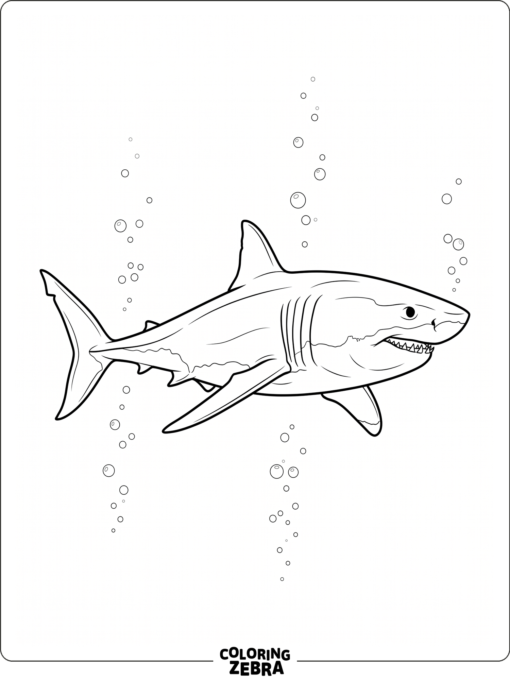 A realistic shark swimming through deep water