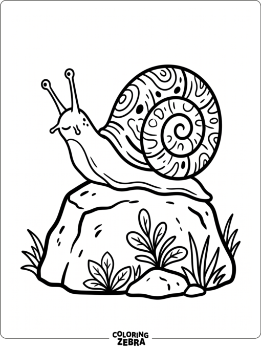 A realistic snail on a rock with simple plants