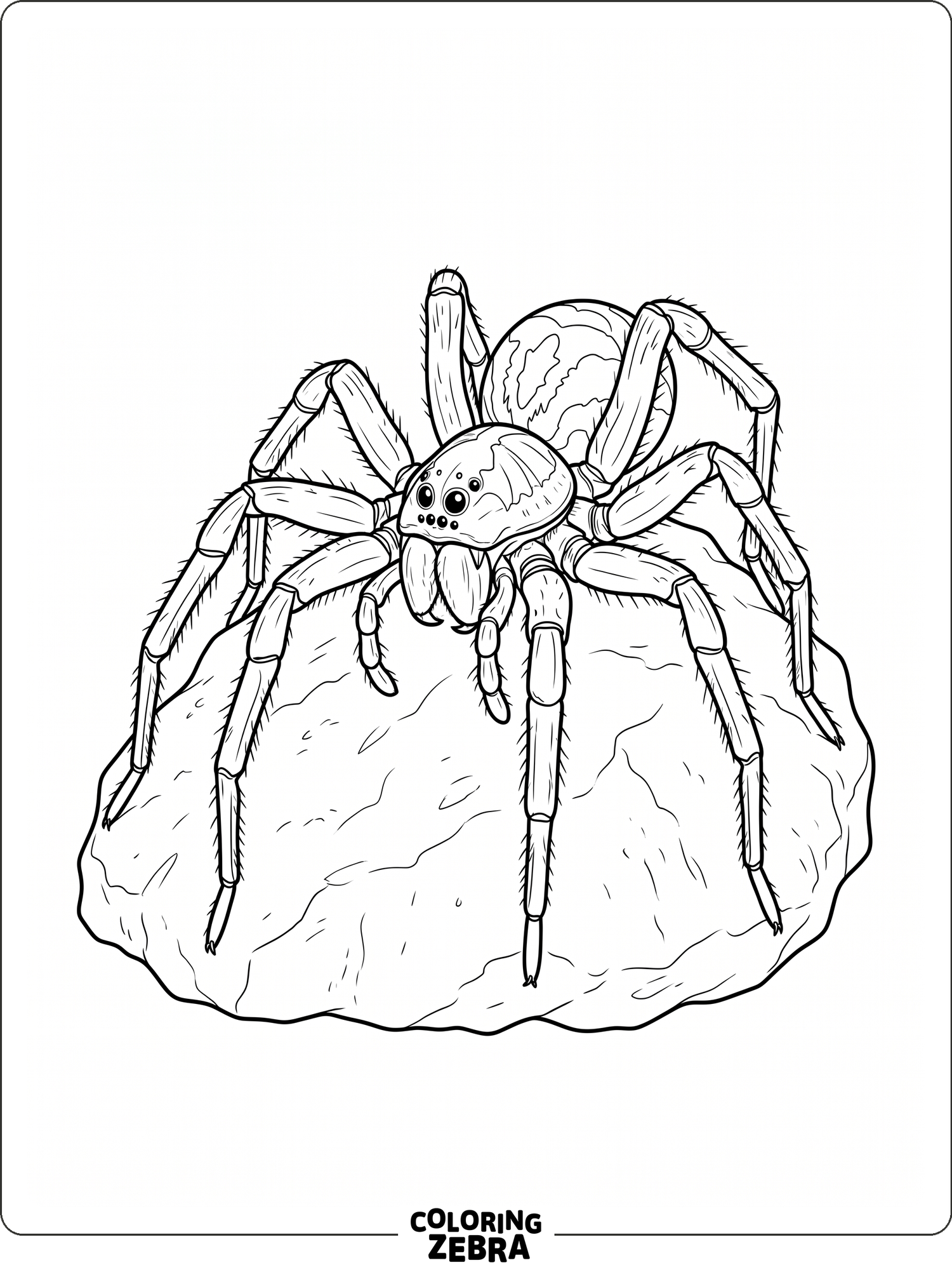 48 Free Spider Coloring Pages - Printable PDF Sheets