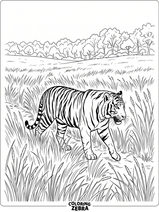 A realistic tiger walking through tall grass