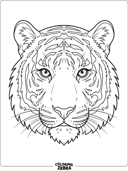 A realistic tiger face with detailed eyes