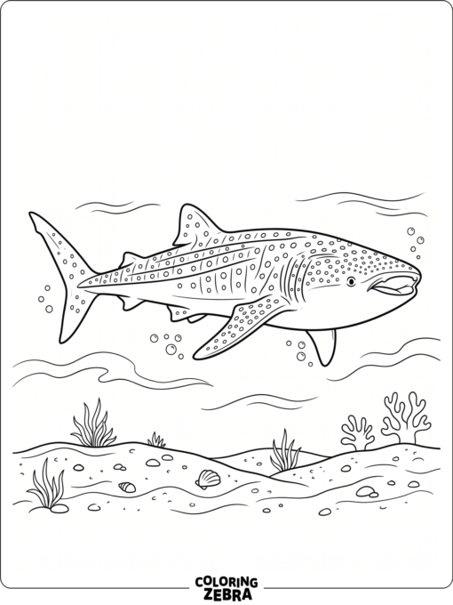 A realistic whale shark over a sandy seabed