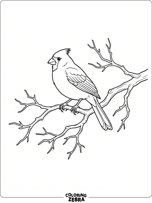 A red bird perched on a bare branch