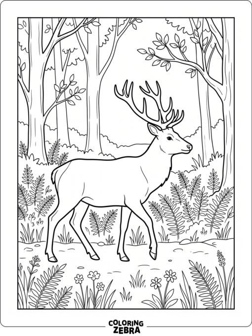 A red deer walking through a forest glade