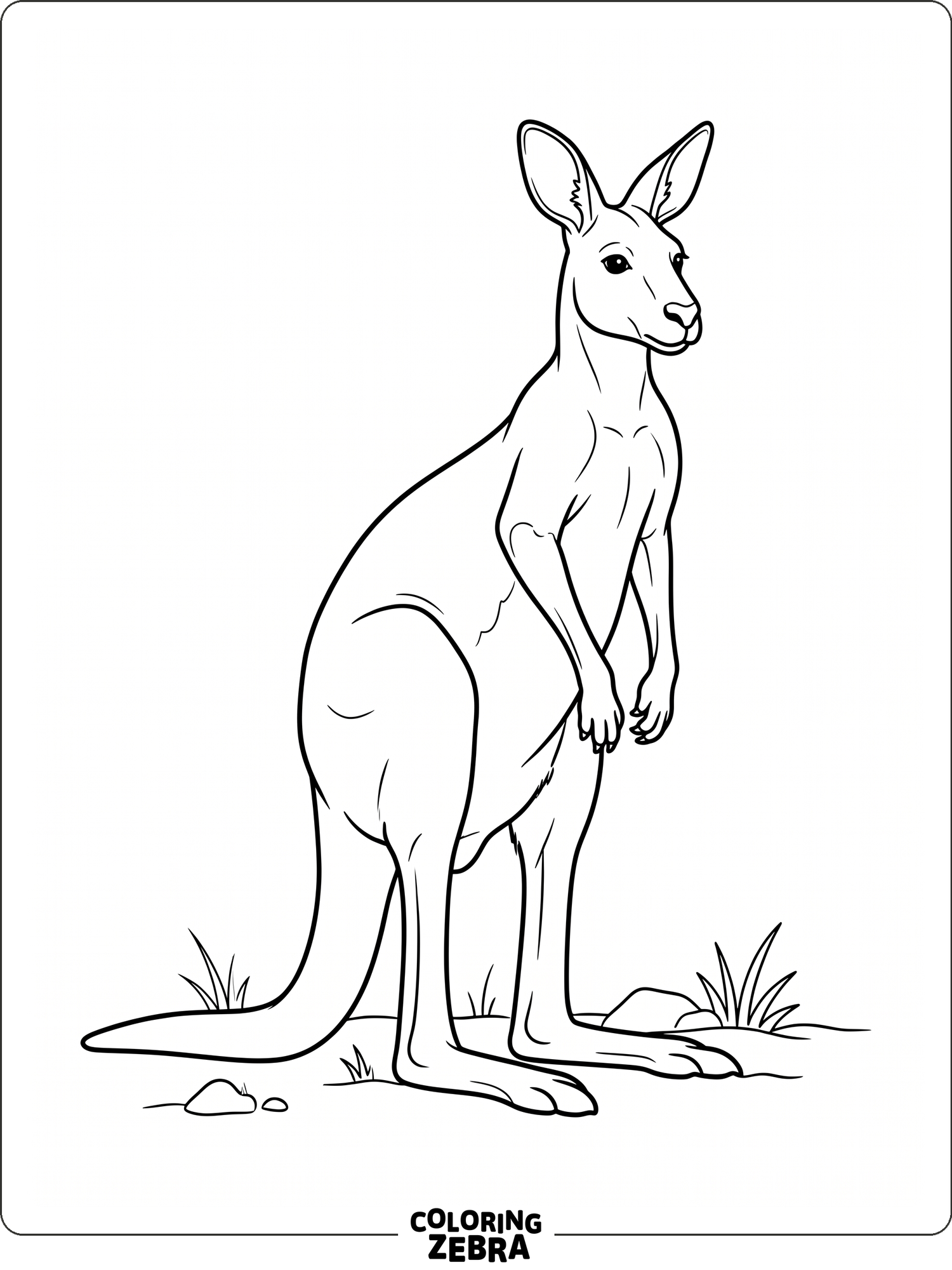 30 Free Kangaroo Coloring Pages - Printable PDF Sheets