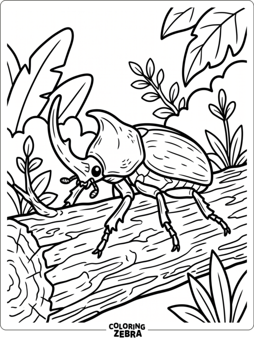 A rhino beetle standing on a log