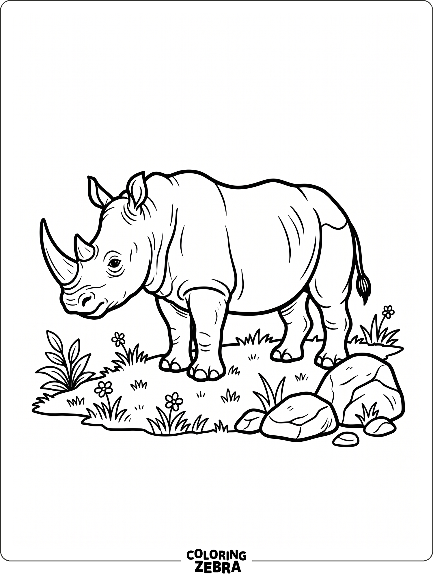 A rhino stands on grass beside a few rocks