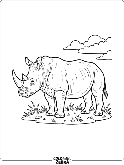 A rhino stands near grass and a few clouds