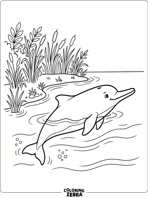 A river dolphin swimming near reeds