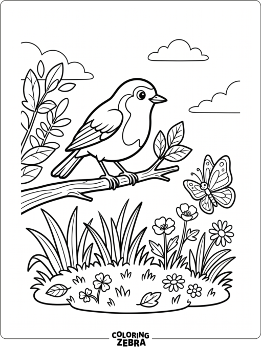 A robin watching a butterfly near the grass