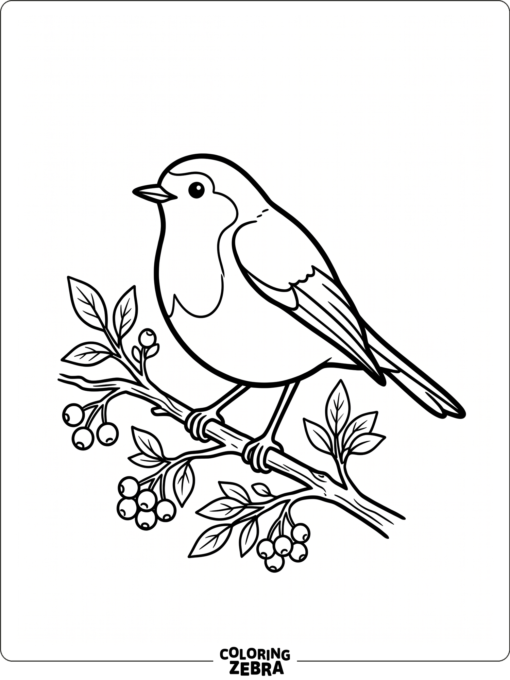 A robin sits on a branch with berries