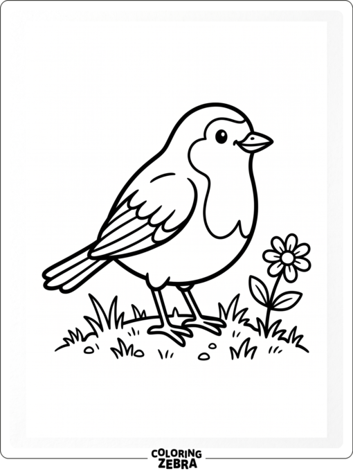 A small robin standing in grass near a flower