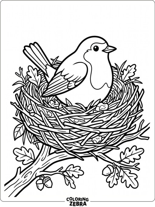 A robin sitting in a nest of twigs and grass