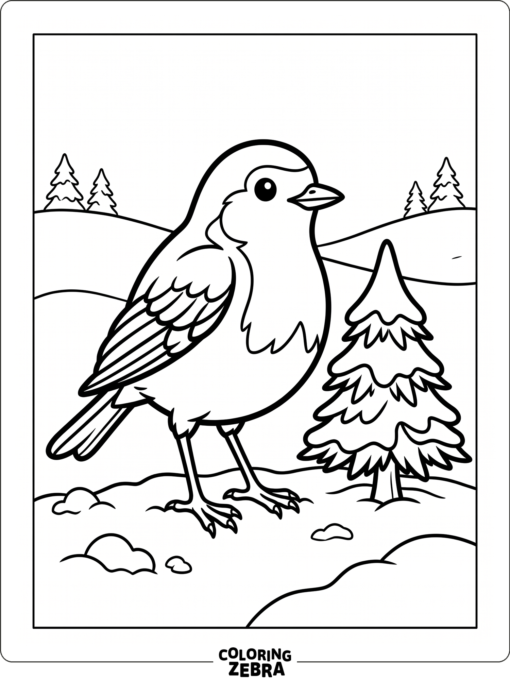 A robin standing in snow beside a small pine