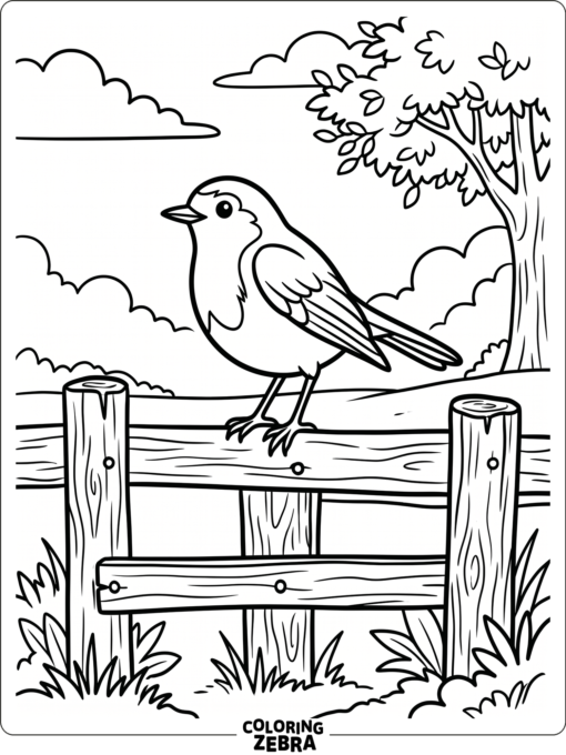 A robin perched on a fence rail