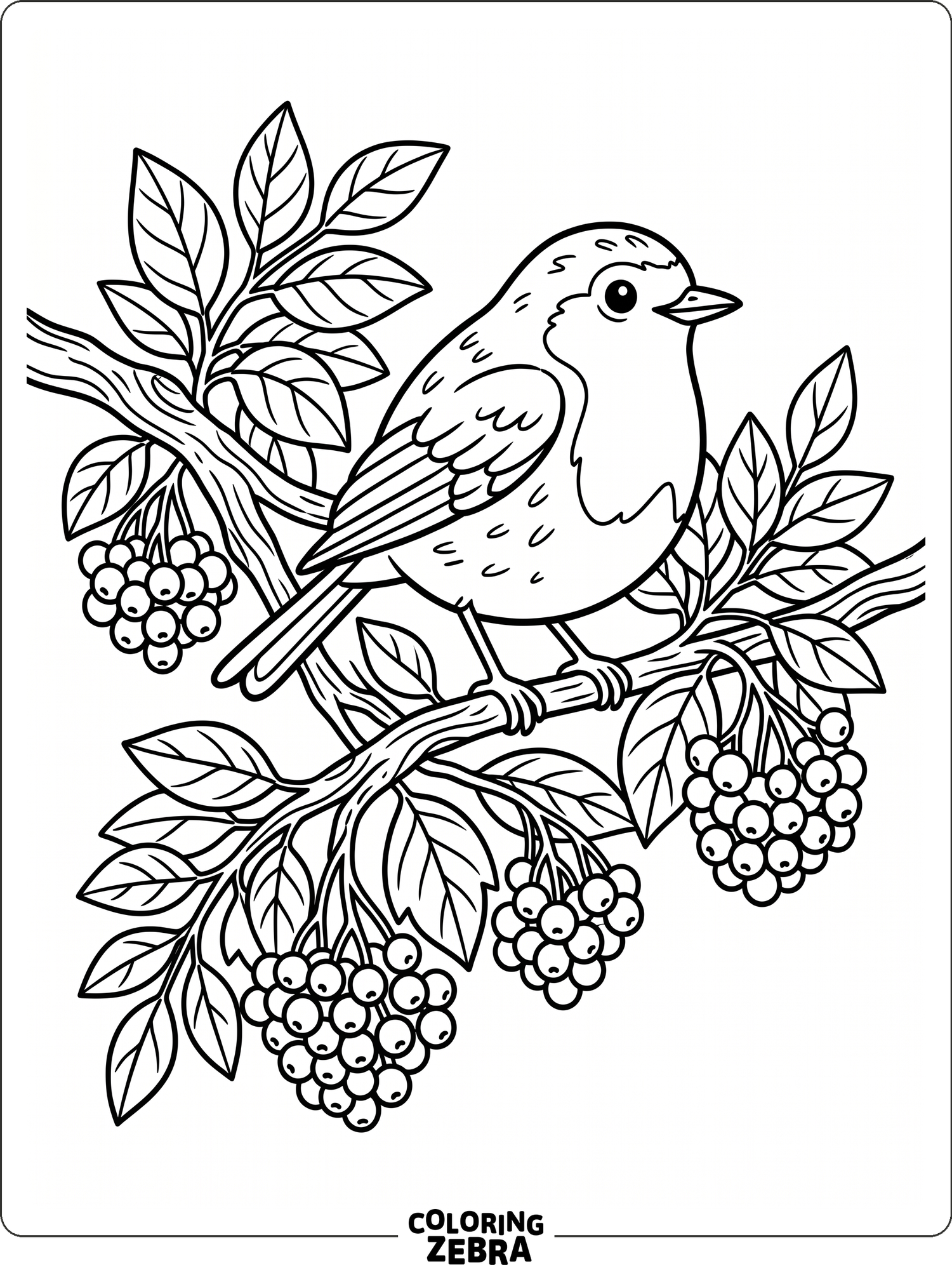 Blue Robin Color Pages 32 Free Robin Coloring Pages - Printable PDF Sheets