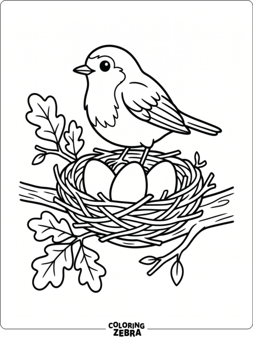 A robin sitting beside three eggs in a nest