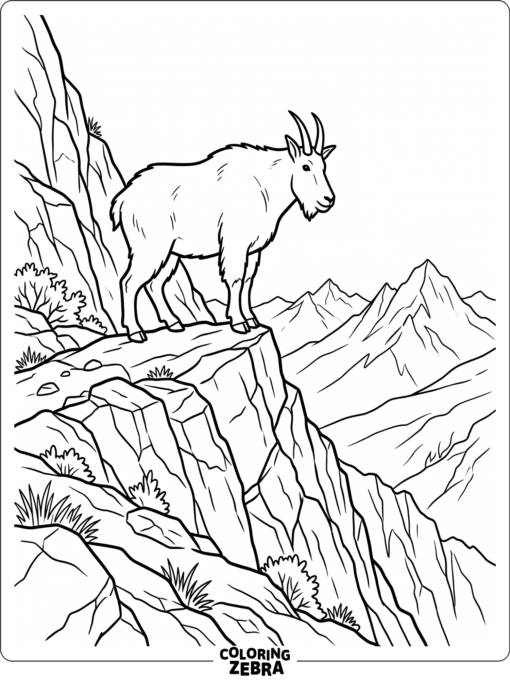 A mountain goat on a rocky slope