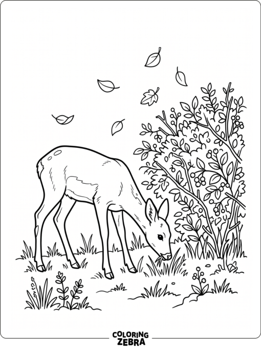 A roe deer grazing beside a hedge