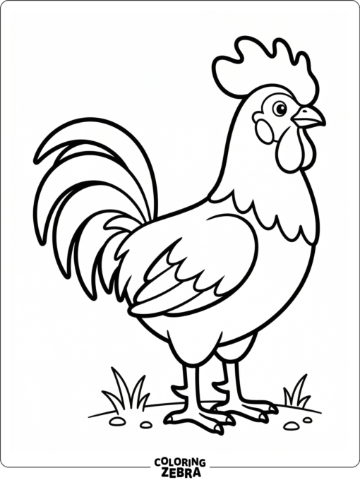 A clean rooster outline shows the body, comb, and tail with minimal detail.