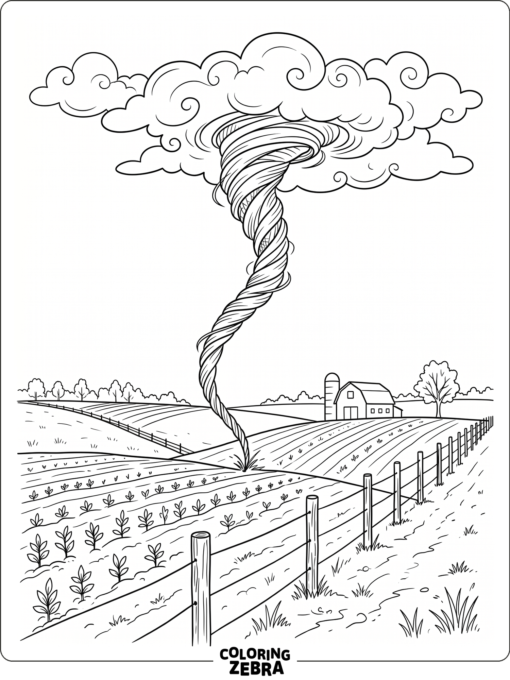 A thin rope tornado over farmland