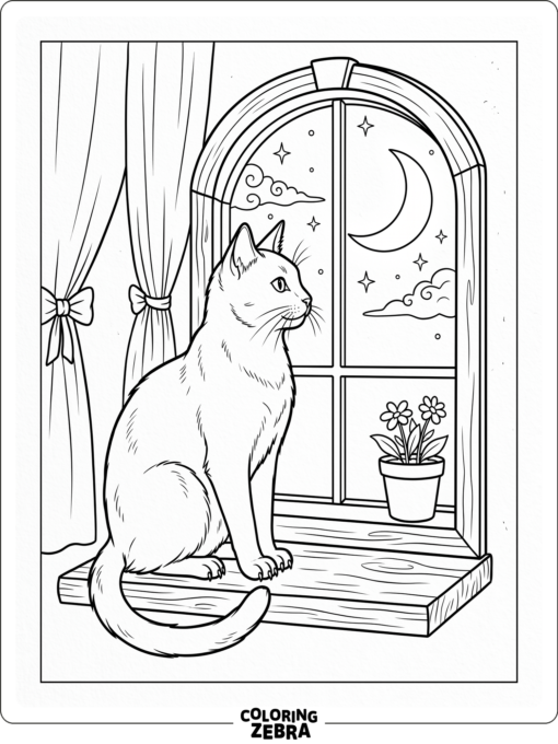 A Russian Blue cat by a window with the moon outside