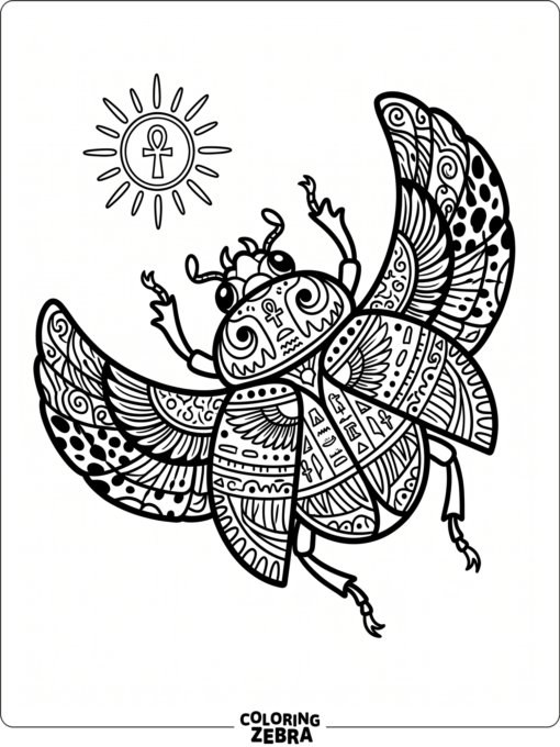 A scarab beetle with a patterned shell