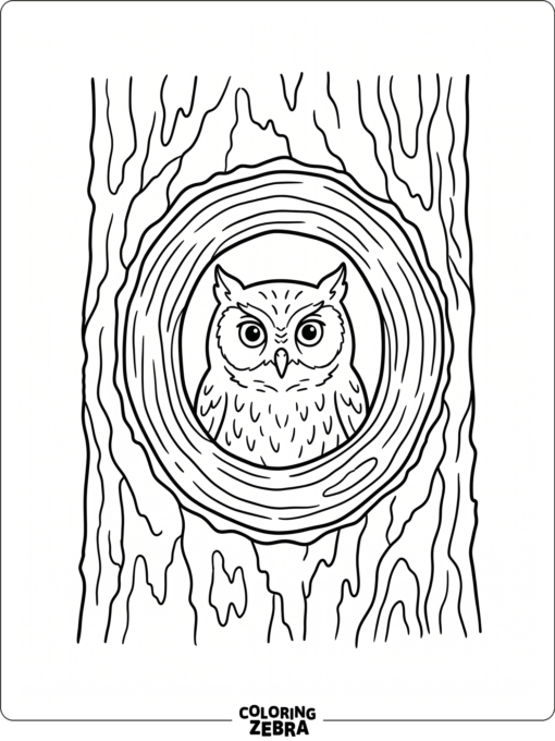 A screech owl peeking out of a tree hole