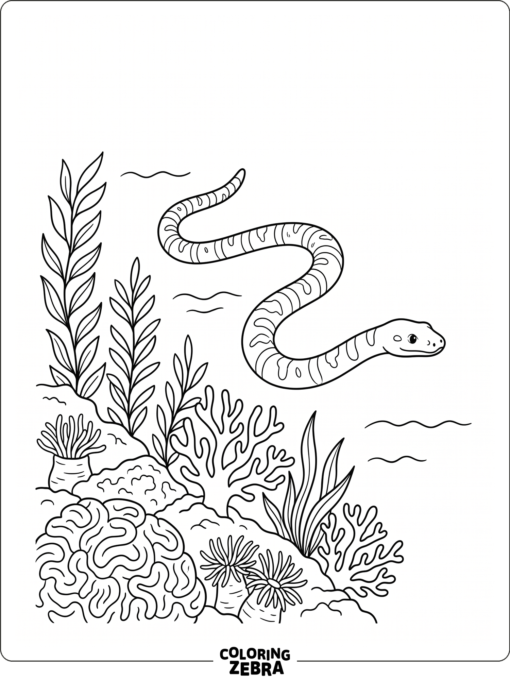 A sea snake swimming near coral and seaweed