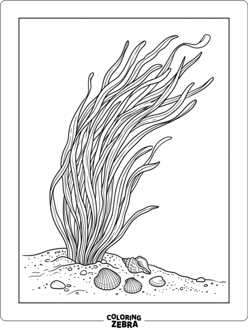 Simple seagrass tufts and shells on the ocean floor
