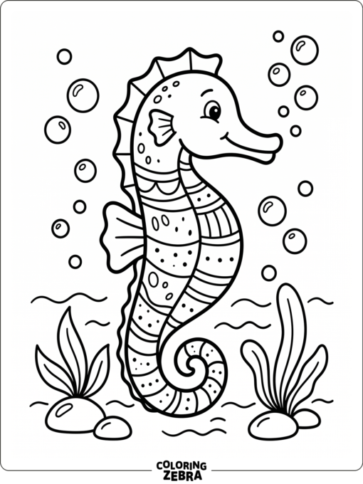 A large seahorse with simple fins and bubbles