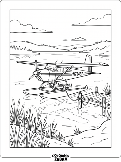 A seaplane floating on water near a dock