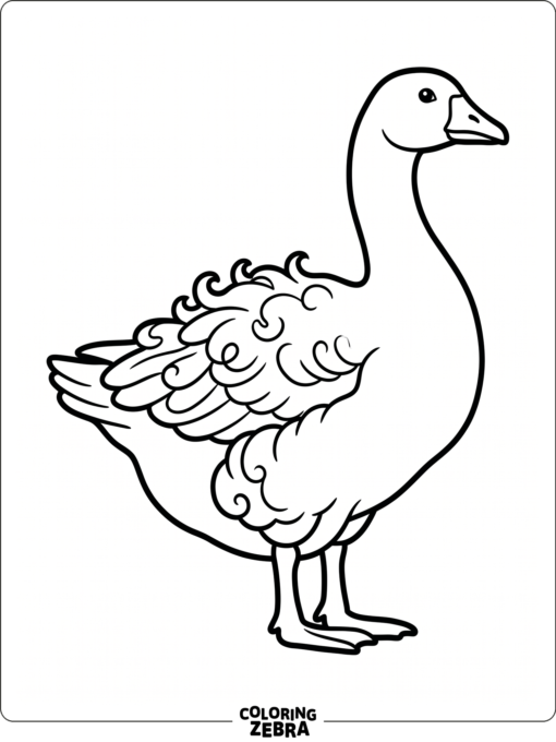 A Sebastopol goose with curly feathers standing still