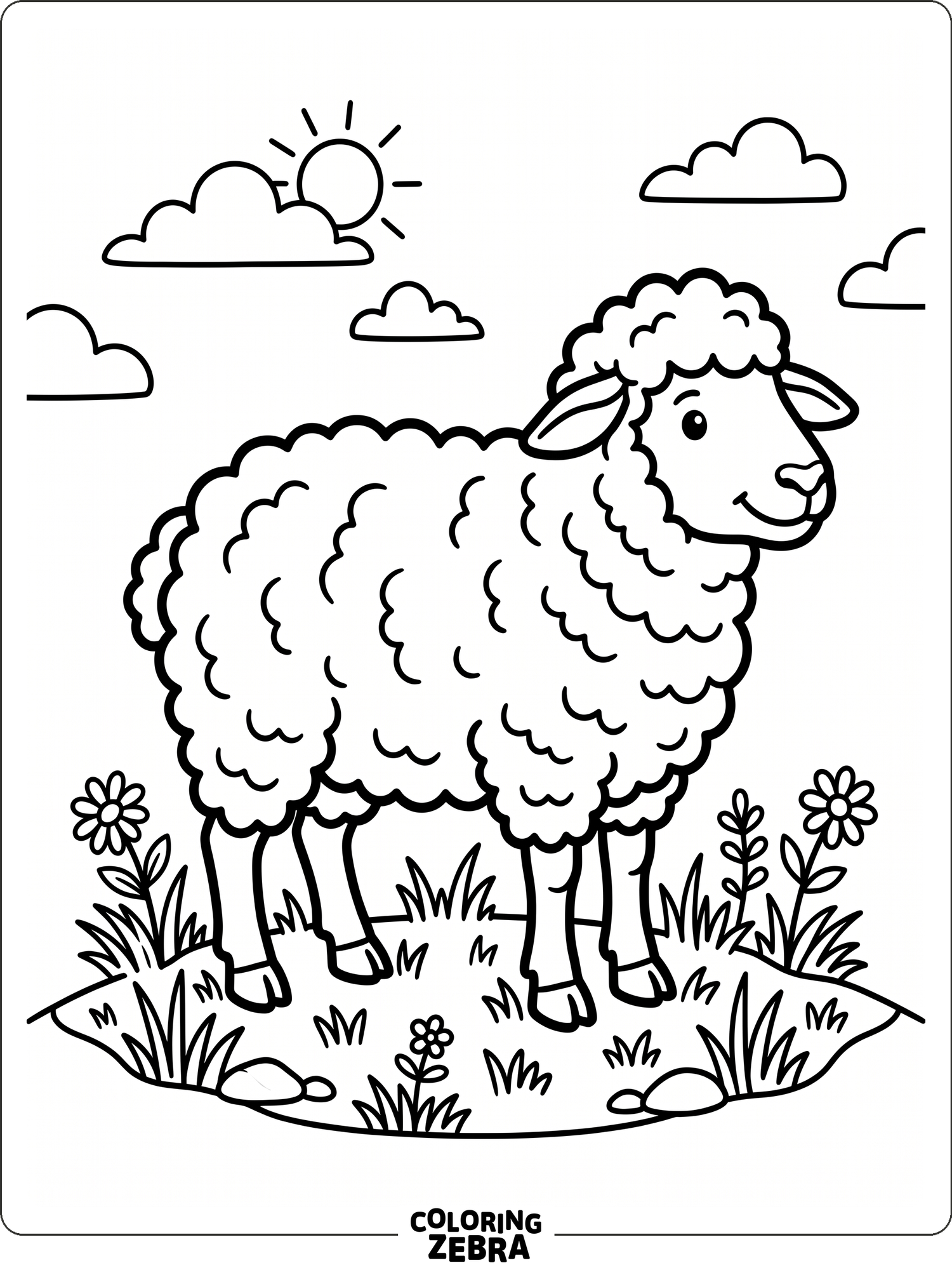 A fluffy sheep standing in grass with clean lines