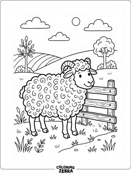 A sheep with curled wool near a fence