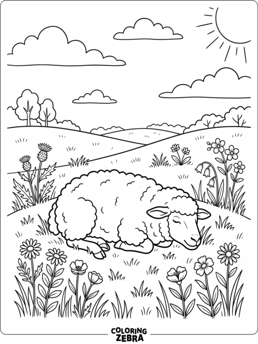 A sheep resting in a meadow