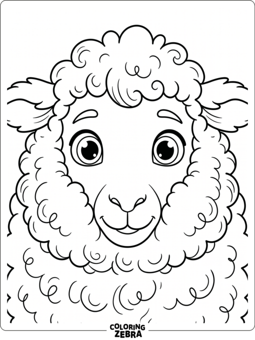 A close-up sheep face with fluffy cheeks