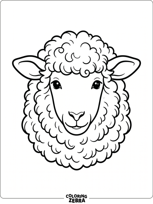 A front view sheep head with fluffy wool