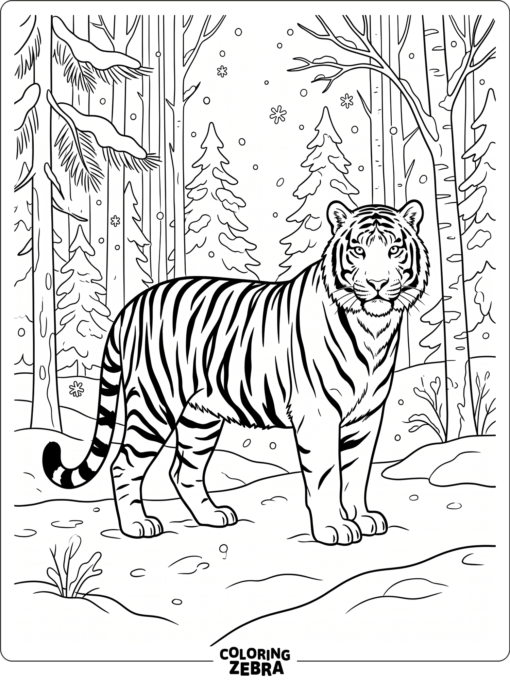 A Siberian tiger standing in a snowy forest