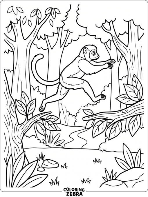 A sifaka lemur leaping between branches