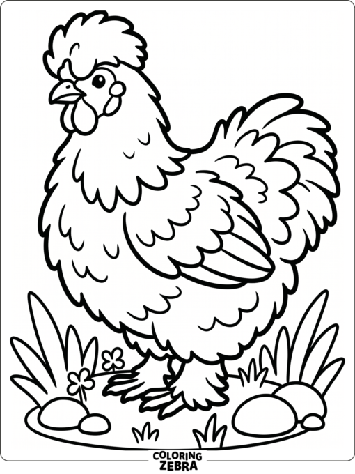 A fluffy silkie chicken standing in grass