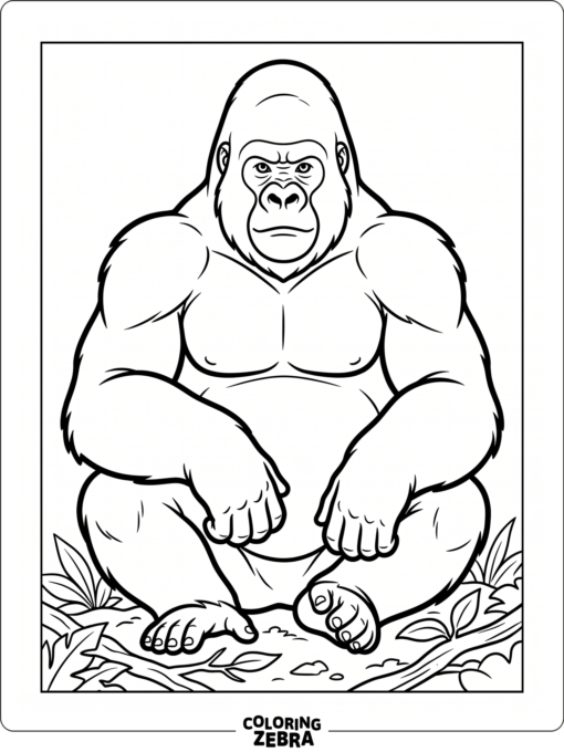 A silverback gorilla sitting upright with broad shoulders