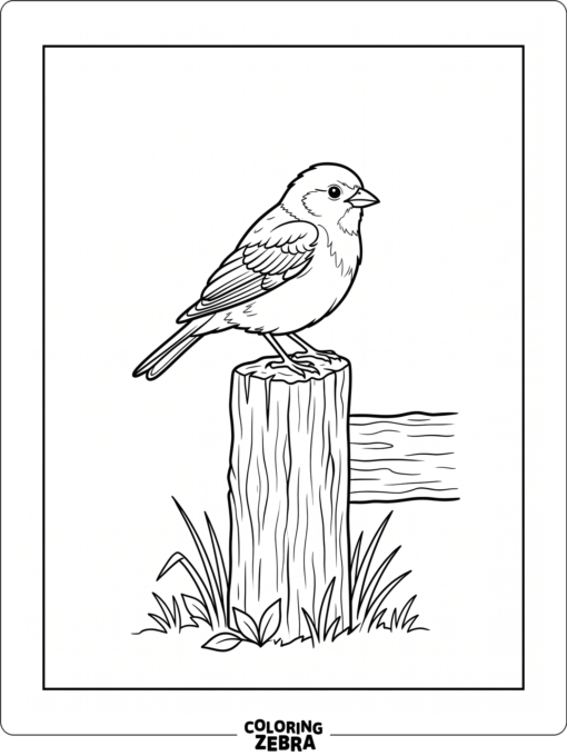 A small bird perched on a fence post