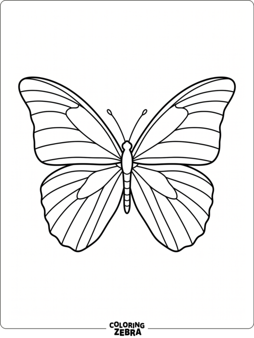 A clean butterfly outline with wide wings