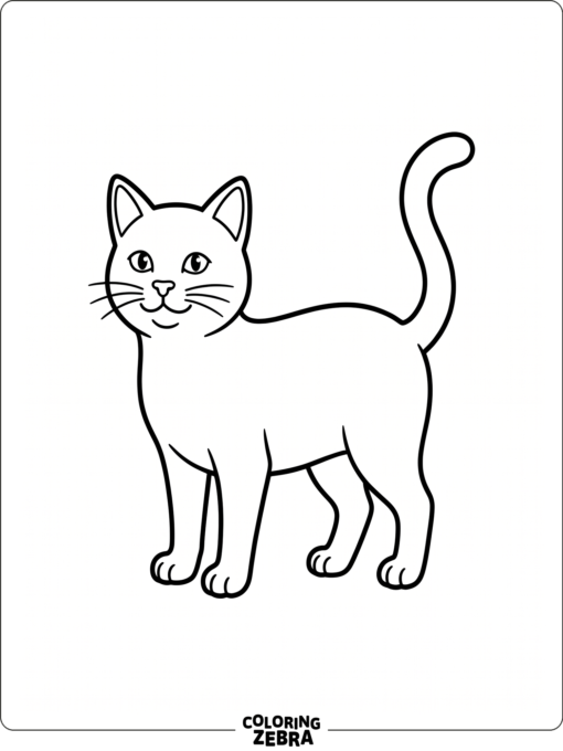 A simple cat stands on all fours with a plain background