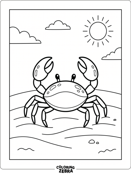A simple crab outline with sand ripples