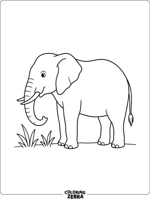 A simple elephant outline with grass